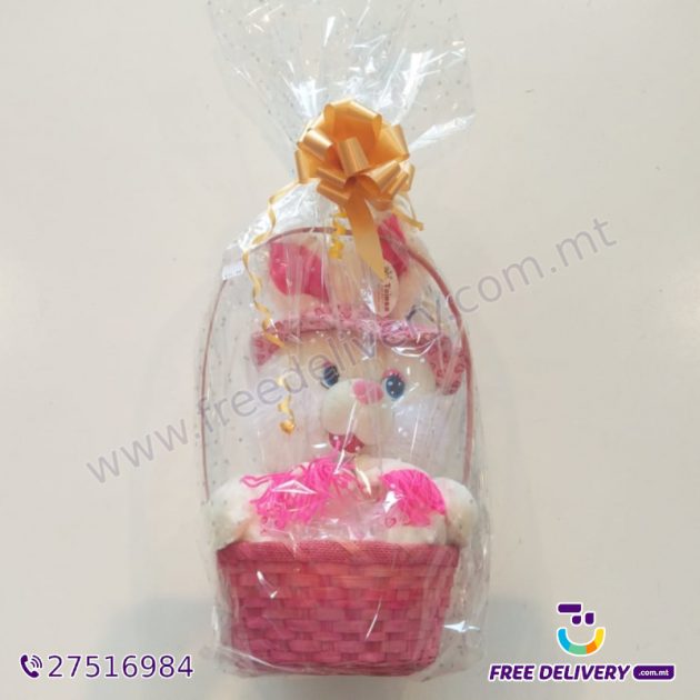 BUNNY SOFT TOY IN GIFT WRAP