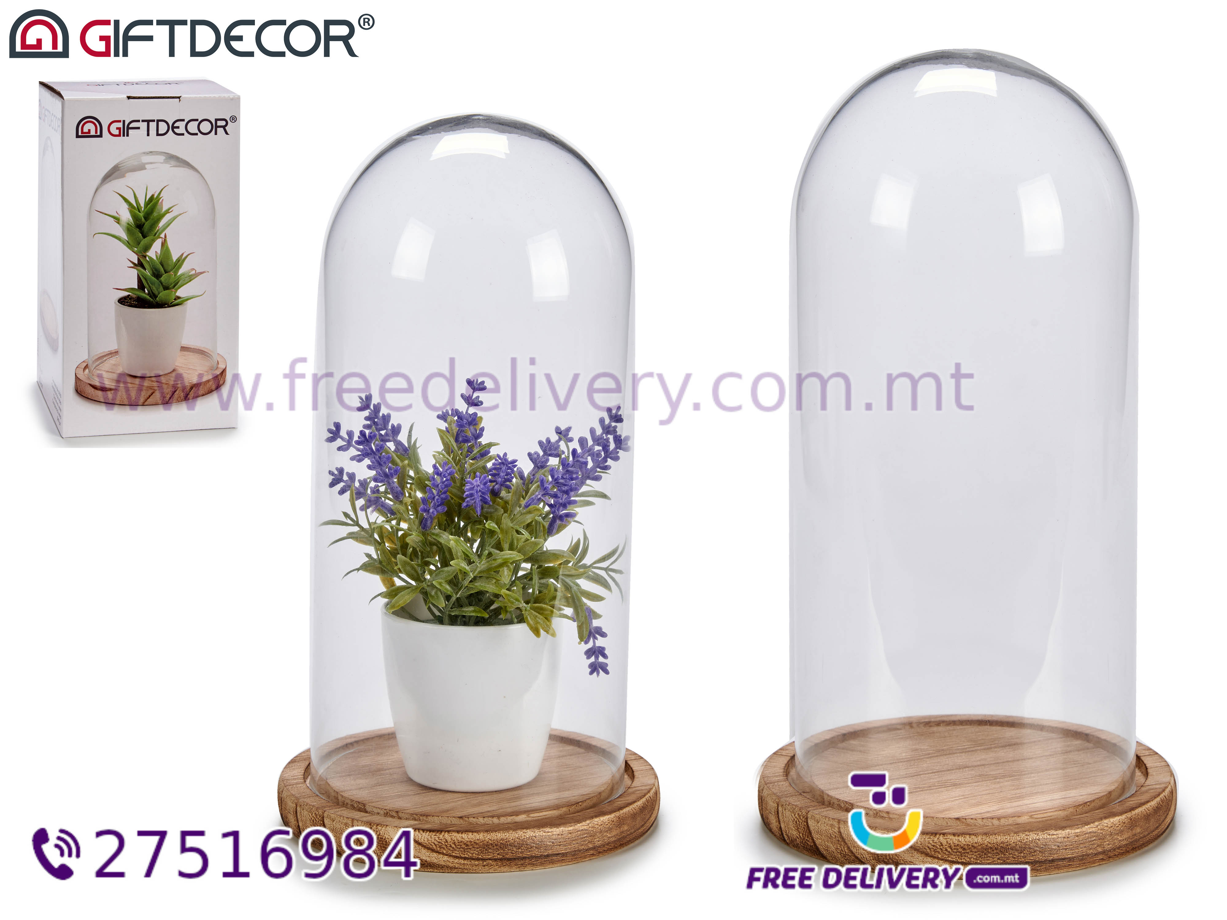 SMALL GLASS DOME WITH NARROW WOODEN BASE AR565136 - FreeDelivery